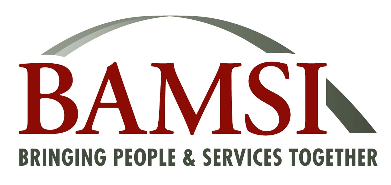BAMSI